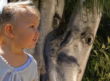 Les arbres qui parlent