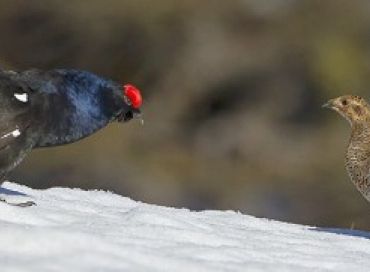 La LPO au plus proche de la nature