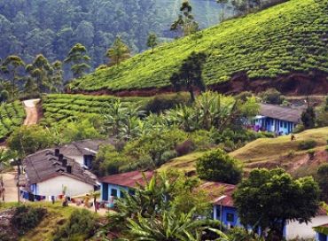 Made in India : le laboratoire écologique de la planète