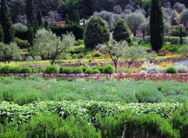 Il fait bio vivre à Mouans Sartoux