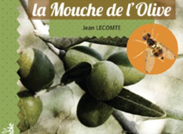 Lutter naturellement contre la Mouche de l'Olive