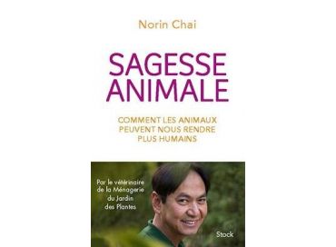 Découvrons la sagesse animale avec Norin Chai