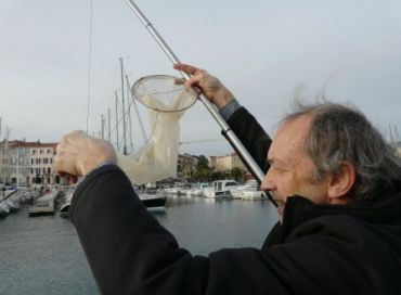 L'observatoire citoyen du plancton