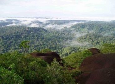 Préserver le plateau des Guyanes