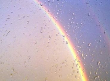 Les bienfaits de l'eau d'orage