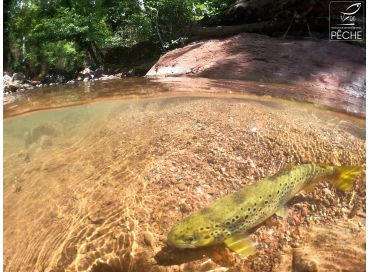 La Patraque de la Roya, veut restaurer la biodiversité