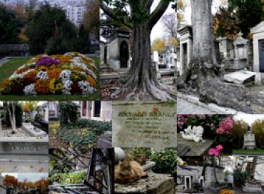 L'écrin de verdure du Père Lachaise