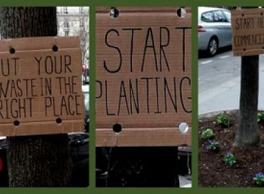 Start planting !