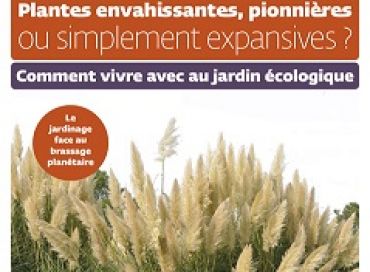 Plantes envahissantes, pionnières ou simplement expansives ?