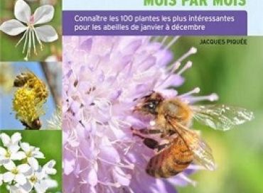 Les plantes mellifères mois par mois