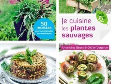 Je cuisine les plantes sauvages 