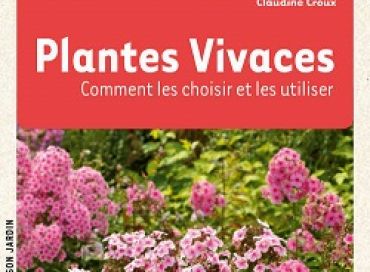 Plantes vivaces, comment les choisir et les utiliser