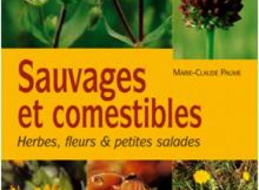 Dégustez des plantes sauvages !