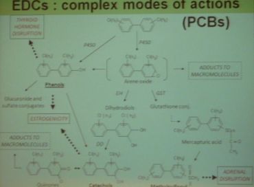 A quand une réglementation sur les pertirbateurs endocriniens?