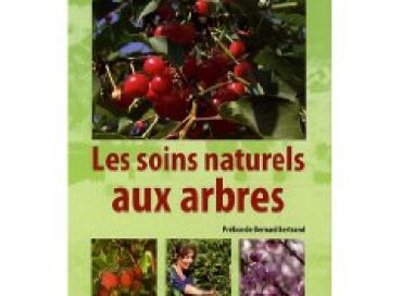 Les soins naturels aux arbres