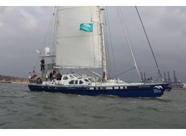 Venez écouter le chant des baleines 