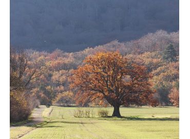 Le retour à la nature est vital !