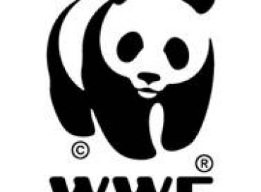 Les produits-partage éco-responsables du WWF